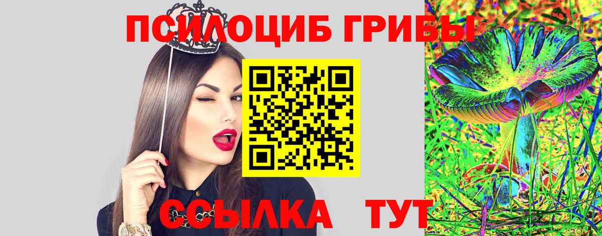 Псилоцибиновые грибы мухоморы  Вход с VPN  Псилоцибиновые грибы GOLDEN TEACHER  Видное 