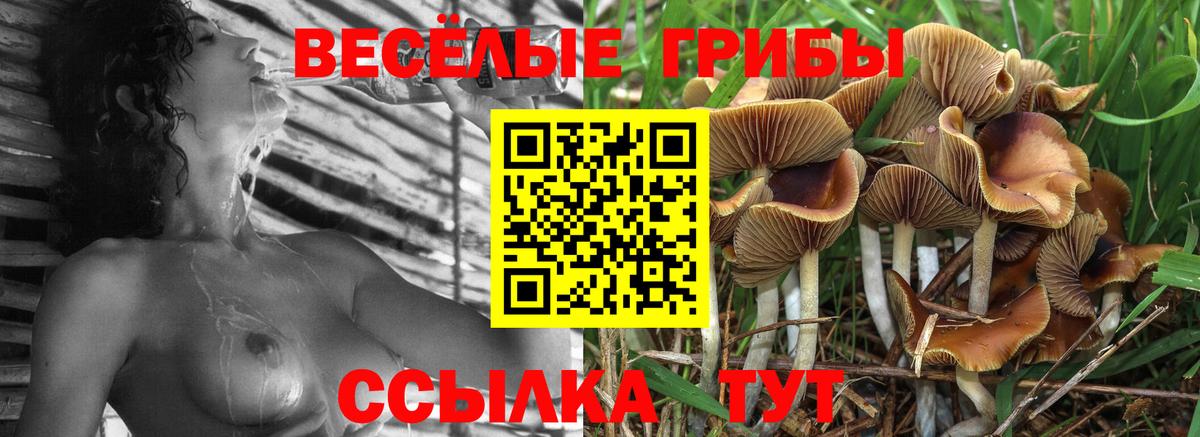 Псилоцибиновые грибы прущие грибы Видное
