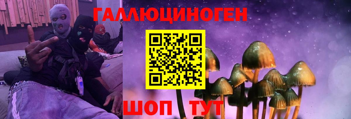 Галлюциногенные грибы Cubensis  Галлюциногенные грибы мухоморы  Видное 